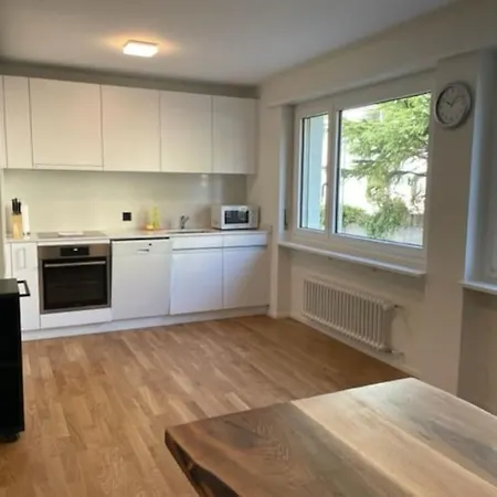 Sunny And Very 2br Flat - Sky8 Апартаменти Цюрих
